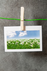 Picture frames with nature photos