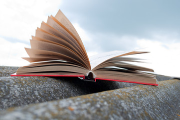 Open red book