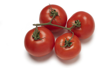 Tomatos