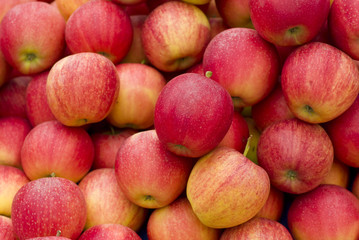 Apples