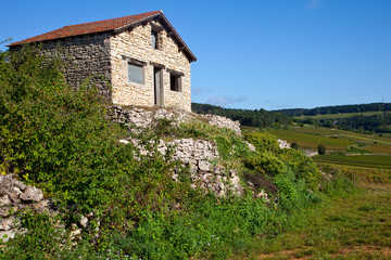 cabotte bourguignonne