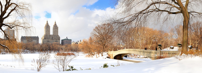 New York City Manhattan Central Park panorama in winter