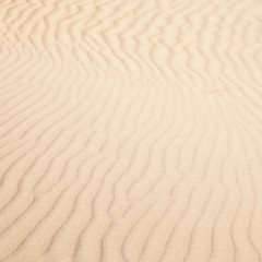 sand pattern