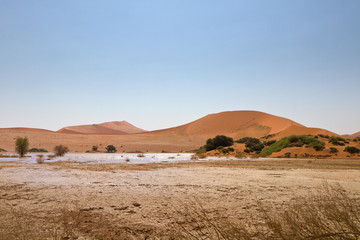 Fototapeta na wymiar Sossusvlei mit Wasser, Namibia