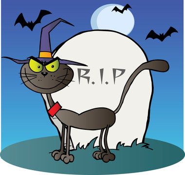 Halloween Witch Cat By A Tombstone On Blue