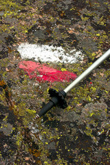 Trail Marker and Stick