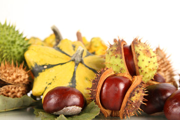 herbstdeko