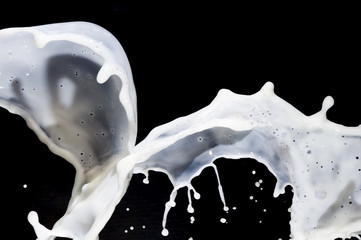 Milk