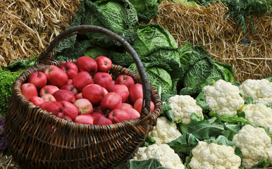 Ottenhausen- Bauernmarkt