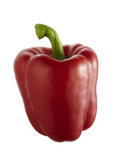 Paprikaschote