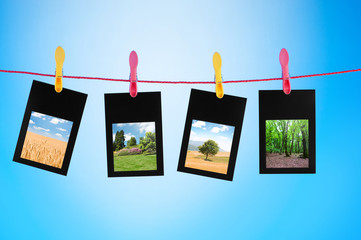 Picture frames with nature photos