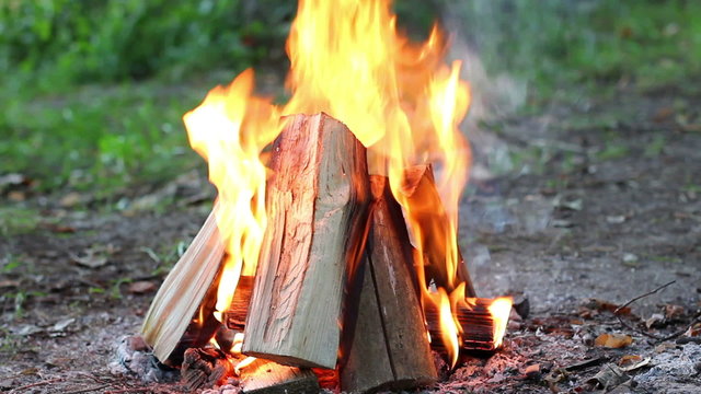 Close-up of brazier with burning fire wood against a green grass