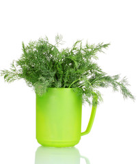 fresh dill in green cup isolated on white