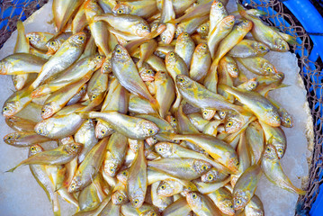 Xiamen street market breams