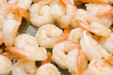 Shrimp
