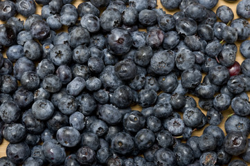 Blueberries