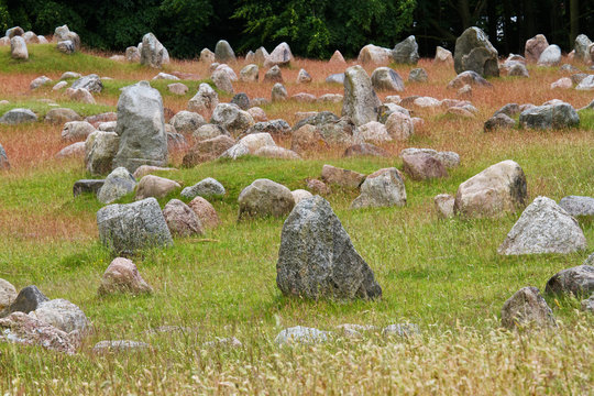 LINDHOLM HOJE COLLINA