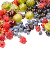 different kinds of berries