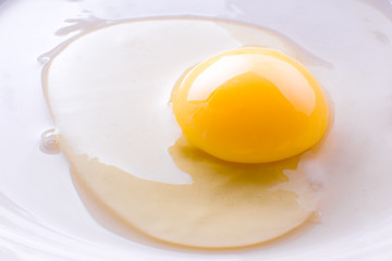 Egg without shell