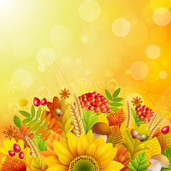 Obraz premium Autumn background