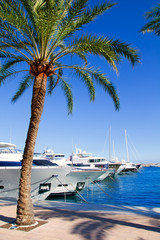 Calvia Puerto Portals Nous luxury yachts in Majorca © lunamarina