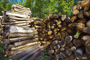 france, ile de france : bois coupé