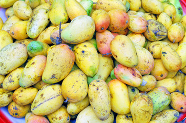 Xiamen street market mango