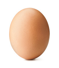 Brown egg