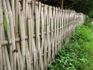 Old bamboo fence in rural area