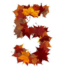 Number five multicolored fall leaf composition isolated