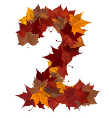 Number two multicolored fall leaf composition isolated
