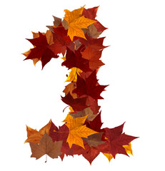 Number one multicolored fall leaf composition isolated