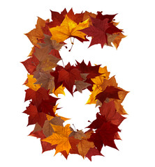Number six multicolored fall leaf composition isolated