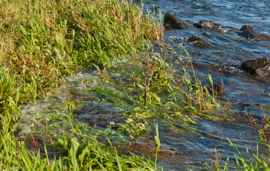 Running water at the riverside
