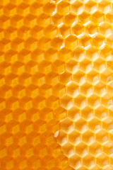 fresh honey in comb