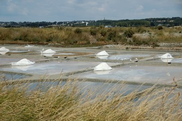 Sel Guérande