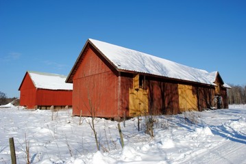 Fototapeta na wymiar schwedischer winter