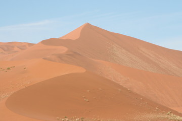 Fototapeta na wymiar sand dune 45 in Namibia
