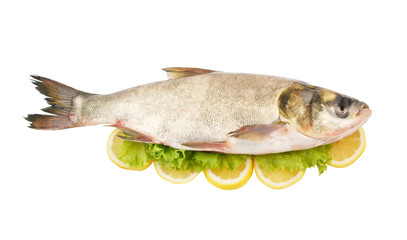 Silver carp fish with lemon and greens isolated on white