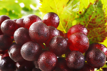 wet red grapes