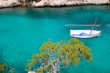 Obraz premium Calvia Cala Fornells turquoise mediterranean in Majorca