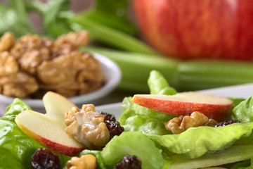 Fresh home-made delicious Waldorf Salad
