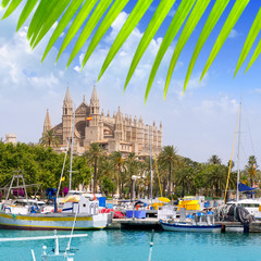 Majorca la Seu cathedral view from marina port of Palma © lunamarina