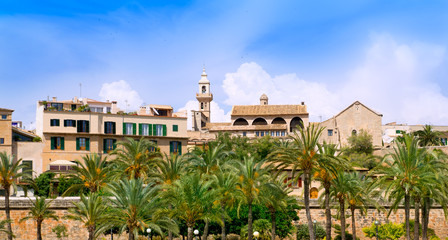 Fototapeta na wymiar Majorca Cathedral garden with palm trees and Calatrava