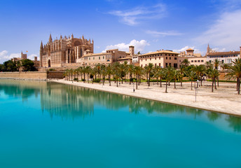 Fototapeta na wymiar Majorka katedry La Seu i Almudaina z Palma