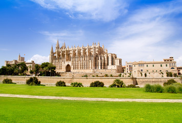 Fototapeta premium Cathedral of Majorca La seu view from grass garden