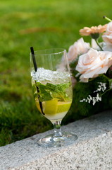 Mojito cocktail