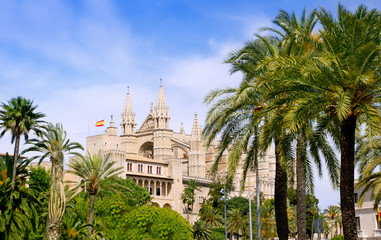 Fototapeta na wymiar Almudaina and Cathedral of Palma de Mallorca in Majorca
