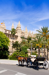 Carriage with horses in Palma de Mallorca cathedral © lunamarina