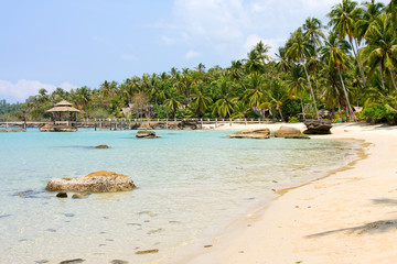 Tropical beach with palm trees on the sand near the sea.